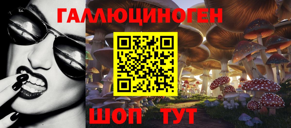 Галлюциногенные грибы мухоморы Кандалакша