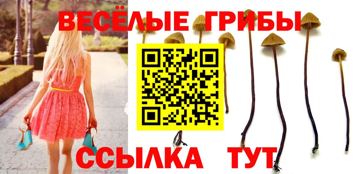 Псилоцибиновые грибы прущие грибы  Галлюциногенные грибы MAGIC MUSHROOMS  Кандалакша  Вход с VPN 